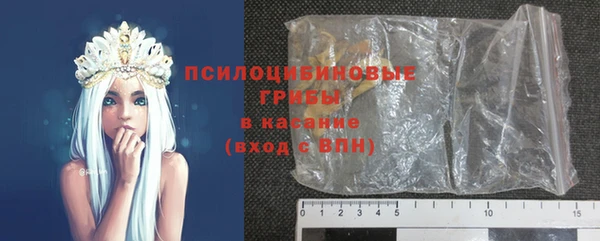 мдпв Арсеньев