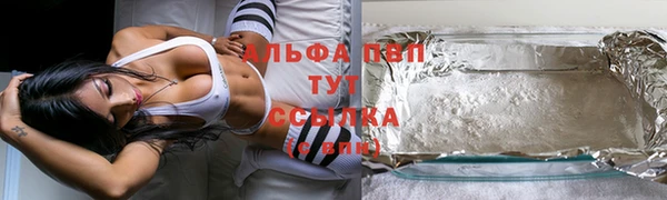 стаф Аркадак