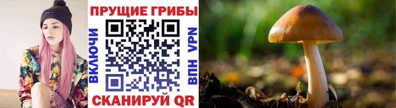 Галлюциногенные грибы Psilocybe  как найти закладки  KRAKEN ONION  Белебей 