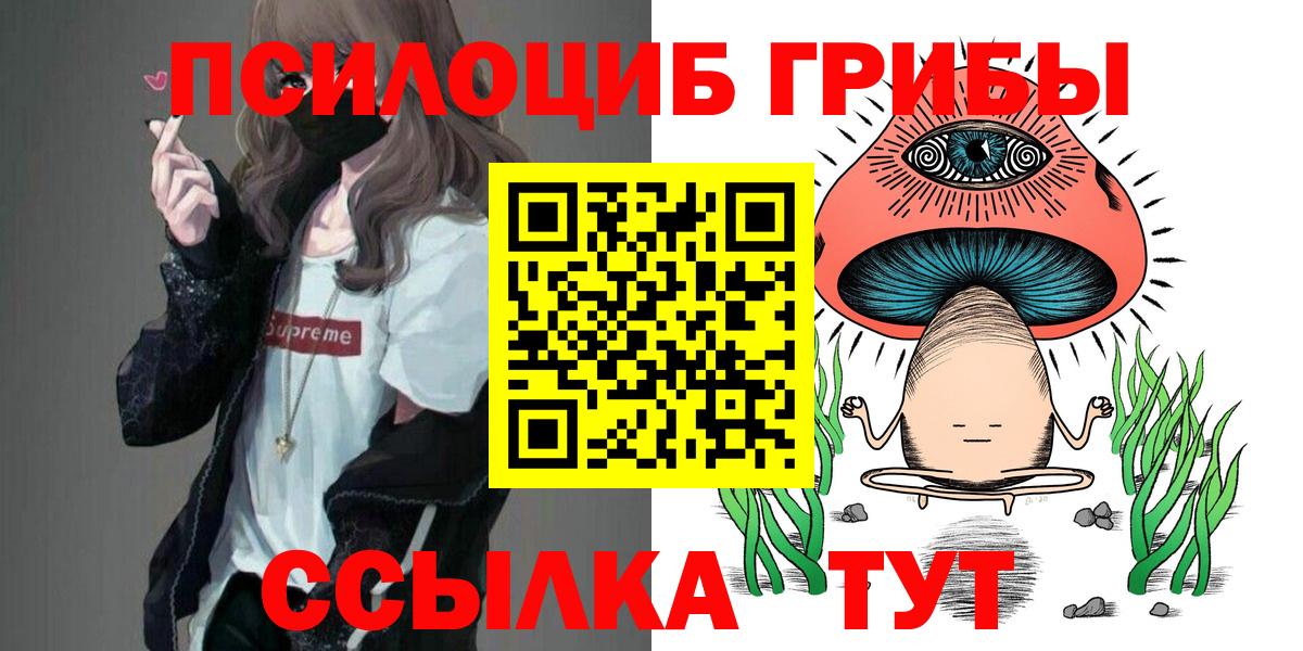 Псилоцибиновые грибы GOLDEN TEACHER  Галлюциногенные грибы Cubensis  Белебей  Вход с VPN 